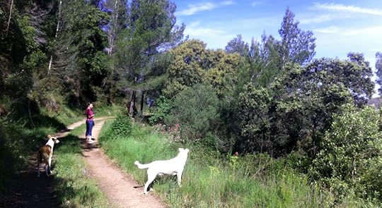 Eddie and Blanca with my sister