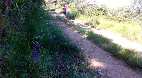Flowers by the track