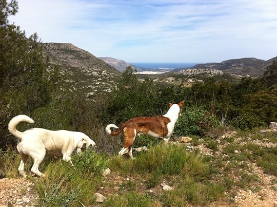 Eddie and Blanca Having Fun