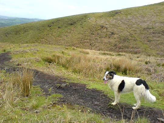 Pendle Hill Moods (1).JPG