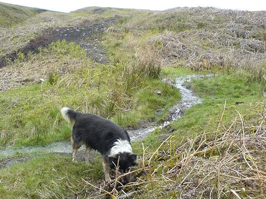 Pendle Hill Moods (2).JPG