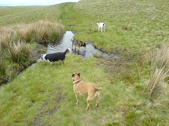 Pendle Hill Moods (3).JPG