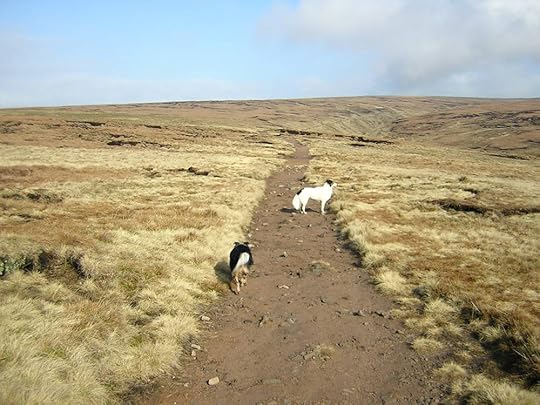 Pendle Hill Moods (12).JPG