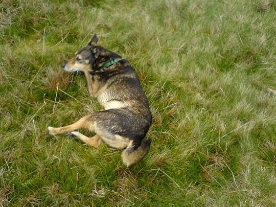Pendle Hill Moods (4).JPG