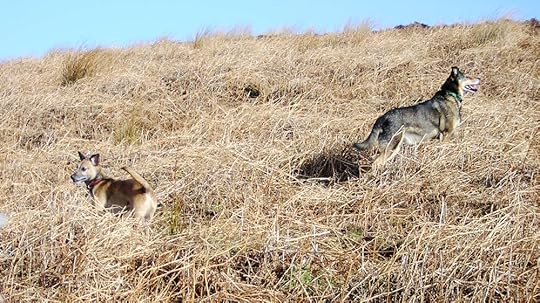 Pendle Hill Moods (9).jpg