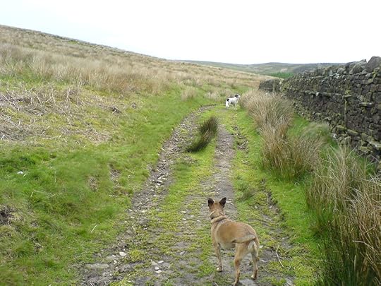 Pendle Hill Moods (22).JPG