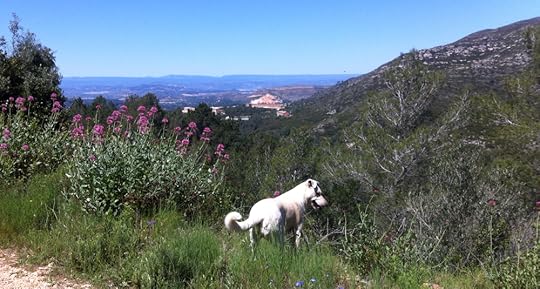 Blanca and flowers