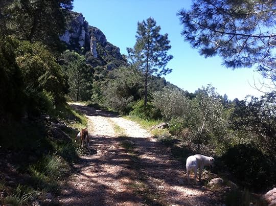 Sunshine and dogs - what is better?