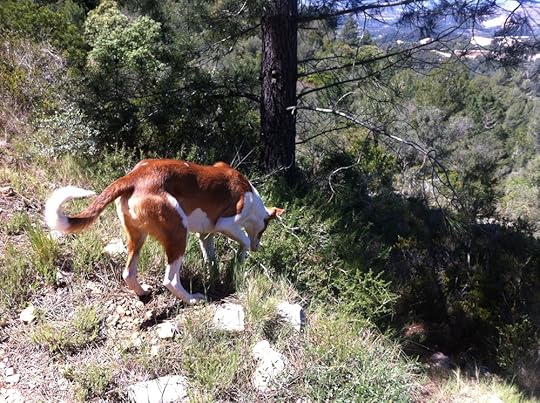 Eddie finds something interesting