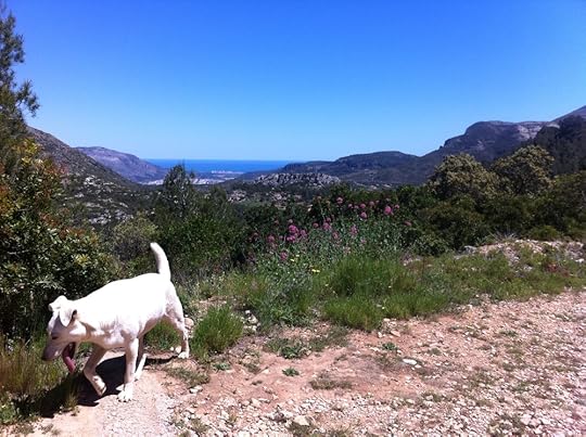 Sea view, as modelled by Blanca