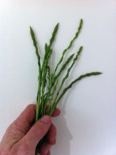 Wild Asparagus