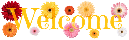 Haiku-Friday-The Writer Next Door-Vashti Q-Poetry