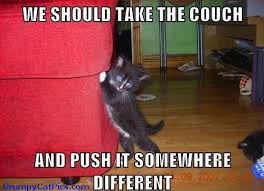 couch move