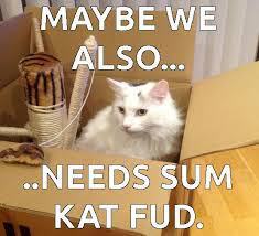 cat food and move