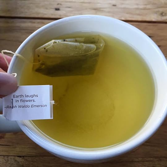 13524407_1295202180509978_4427462257070980183_n