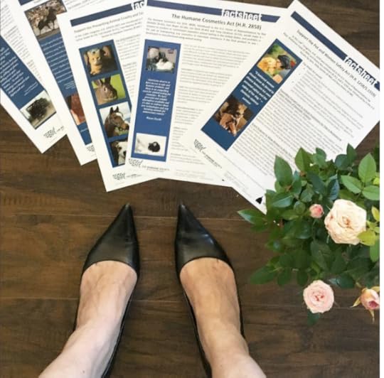 Screen Shot 2016-06-24 at 2.43.55 PM