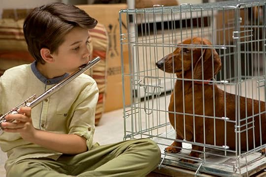 Weiner-Dog