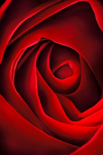 Kiss from a Rose © Harold Davis