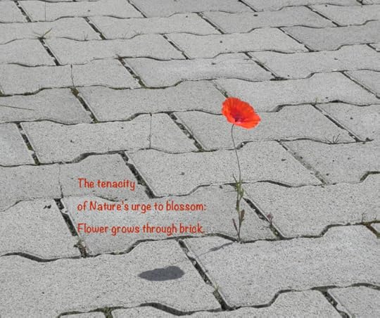 brickFlower