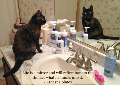 cat-mirror