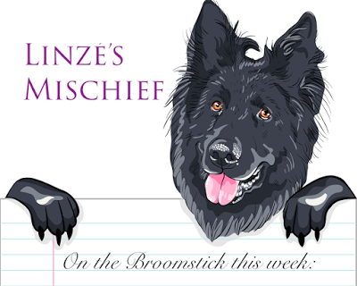 Linzé’s Mischief, a public journal by Linzé Brandon, online journal, Belgian shepherd dog holding paper