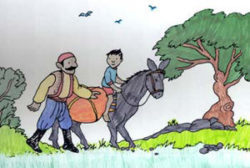 mandonkey1