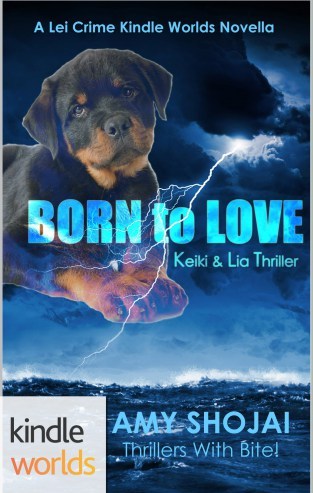 Lei Crime Kindle World
