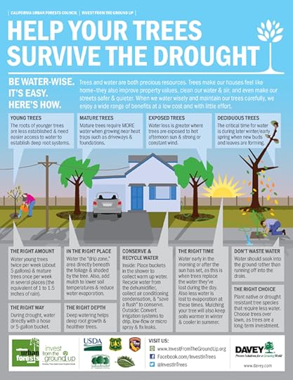 Davey Tree Drought Infographic