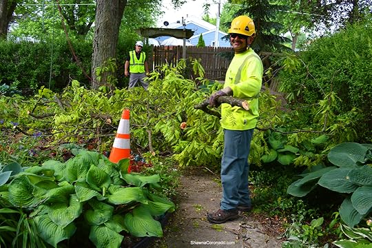 Davey Tree Experts Brad and Cesario with Branches copyright Shawna Coronado