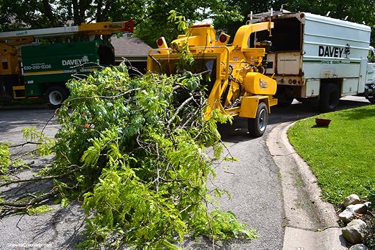Davey Tree Grinding Trucks copyright Shawna Coronado