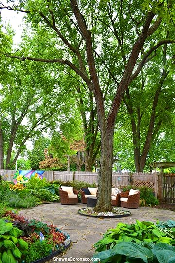 Davey Tree Experts After Trim Photo copyright Shawna Coronado