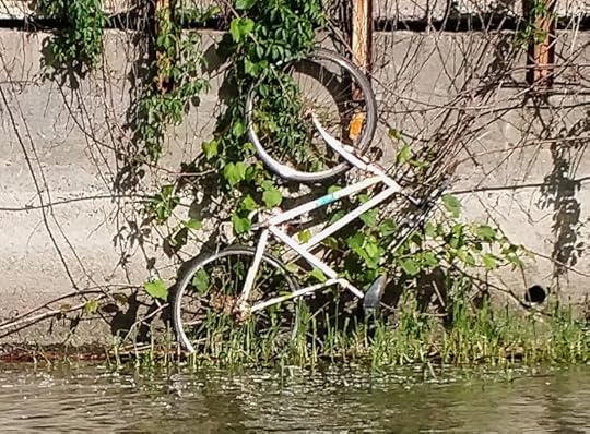 Unexpected bicycle on wall