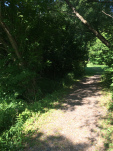 Long Island Locks June 2016 (5)
