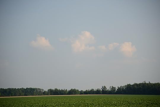 DSC_1613