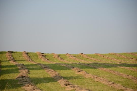 DSC_1626