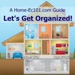 organization challenges