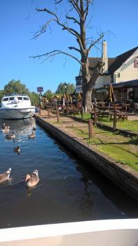 13490675_1008185619298677_6160168044108672576_o