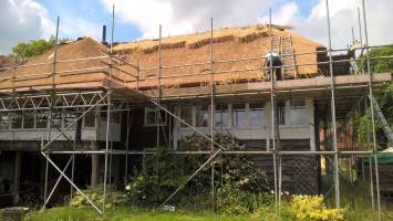 13475048_1008190172631555_3718399790808249968_o