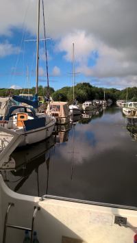 13497880_1005362886247617_6088480330712560812_o