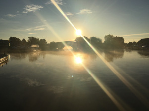 13518039_10153642482266406_1295302266_o