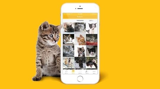catastic-app