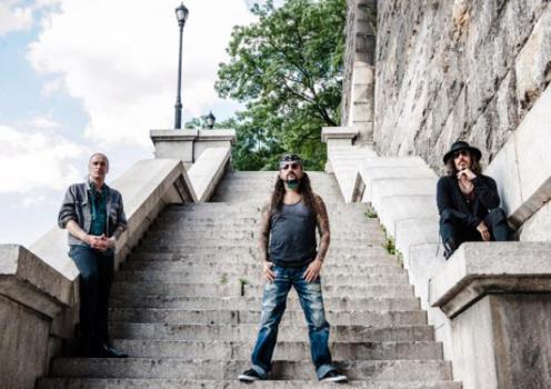 winerydogs