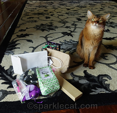 somali cat poses with BlogPaws gifts from cat bloggers