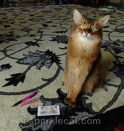 pen and spring toy from Truffle and Brulee