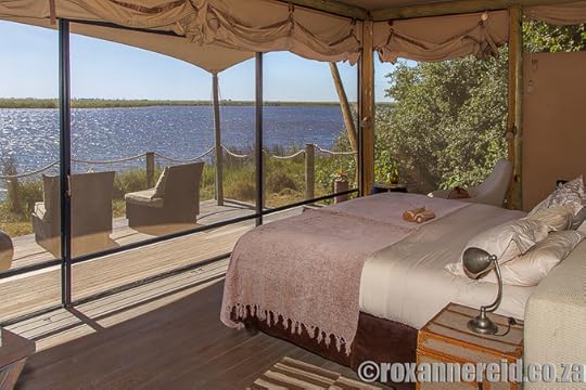 DumaTau, Linyanti, Botswana