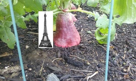 radish (640x384) - Copy