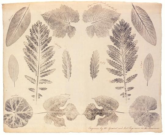 Franklin Brientnal Leaf Print