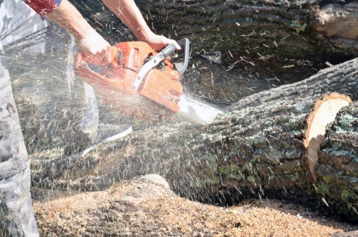 Dead Trees, Sales Pipelines & Loss Aversion [Research]