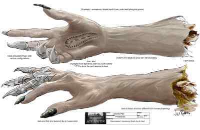 dismembered hand