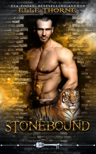 EBOOK(5)